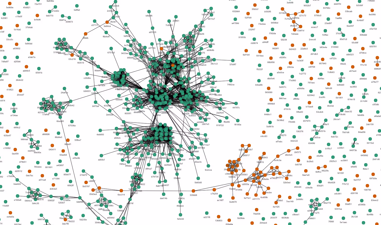 Plagrism Network - Zoomed
